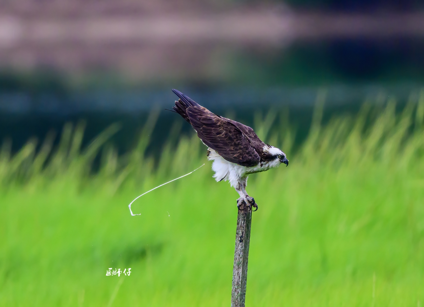 DSC_3482 .jpg