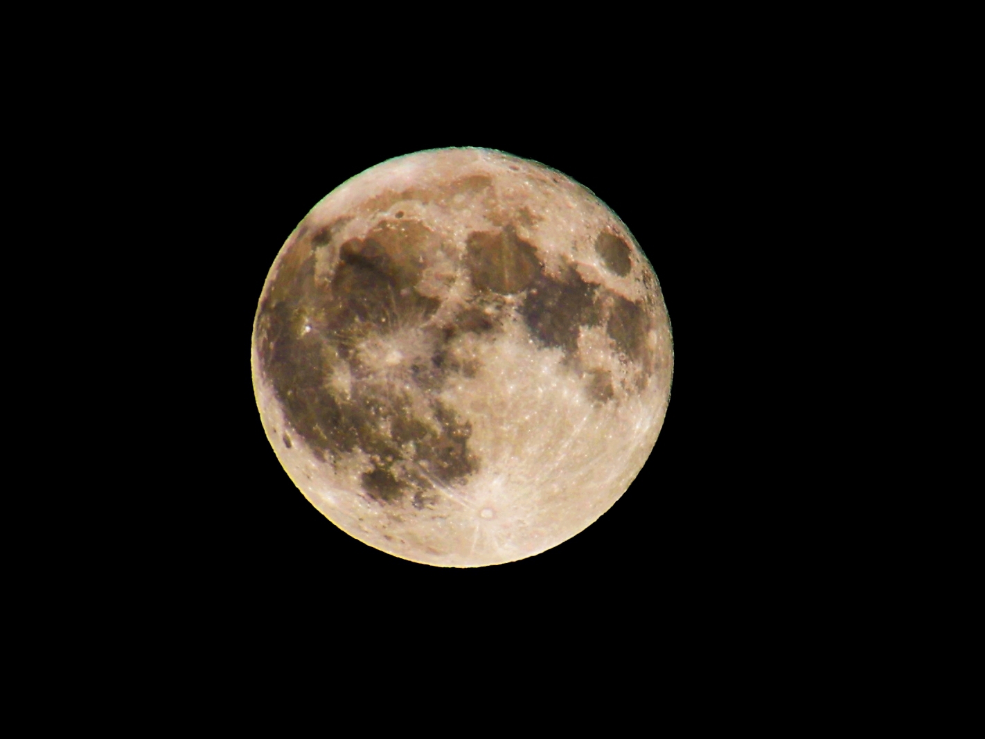 IMG_6382__.jpg