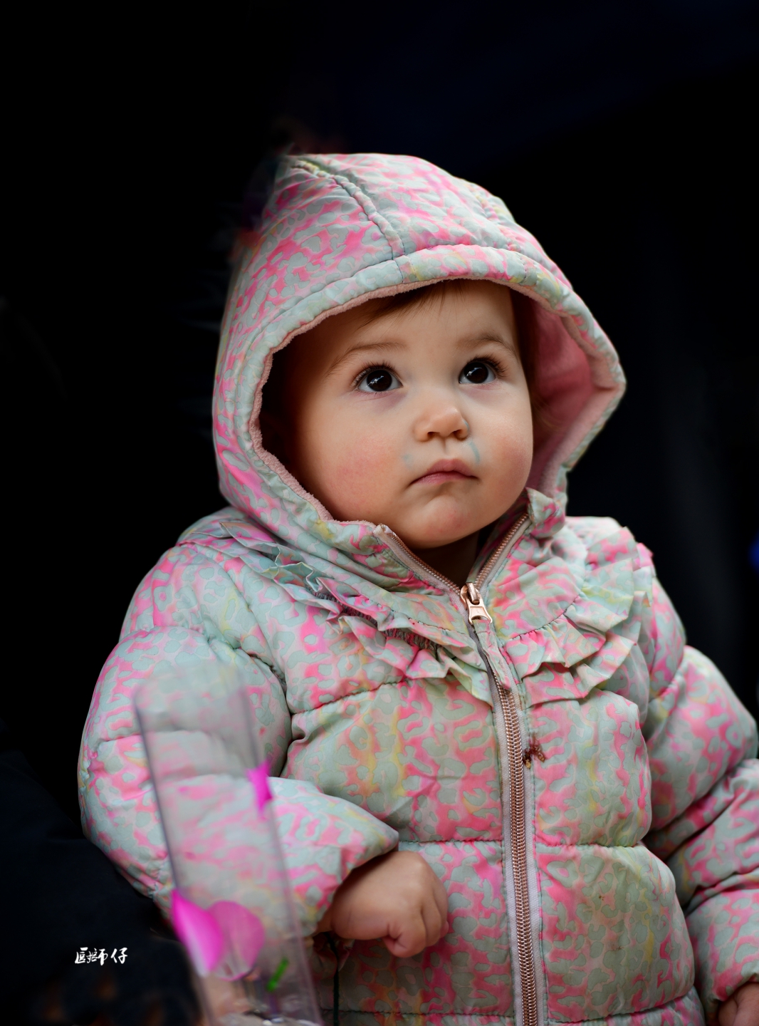 DSC_0077.jpg