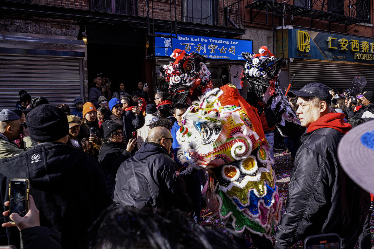 _DSC8217.jpg