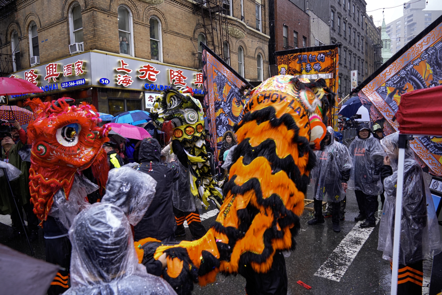 _DSC9264.jpg