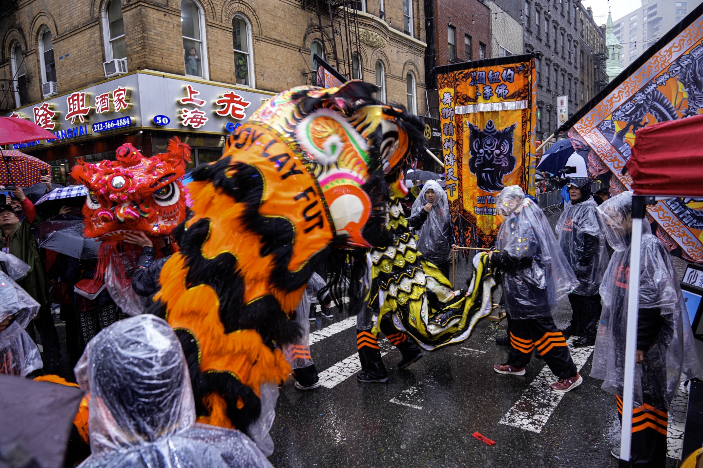 _DSC9263.jpg