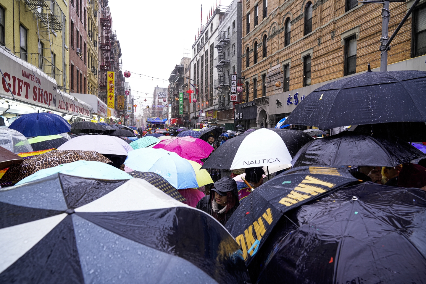 _DSC9274.jpg