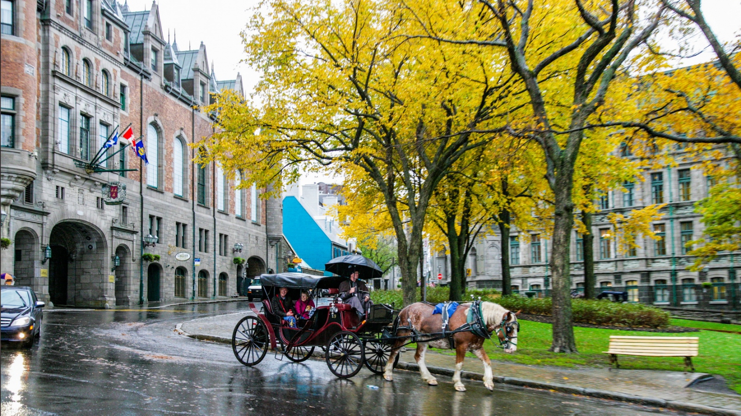 2014_10_1003.jpg