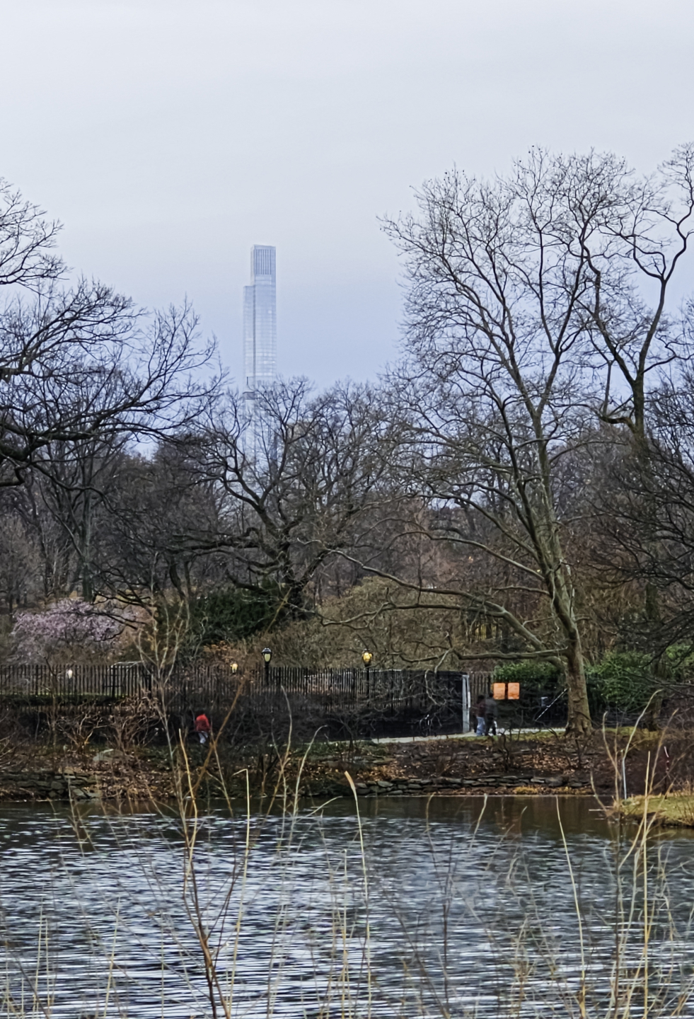 20250317_160528.jpg