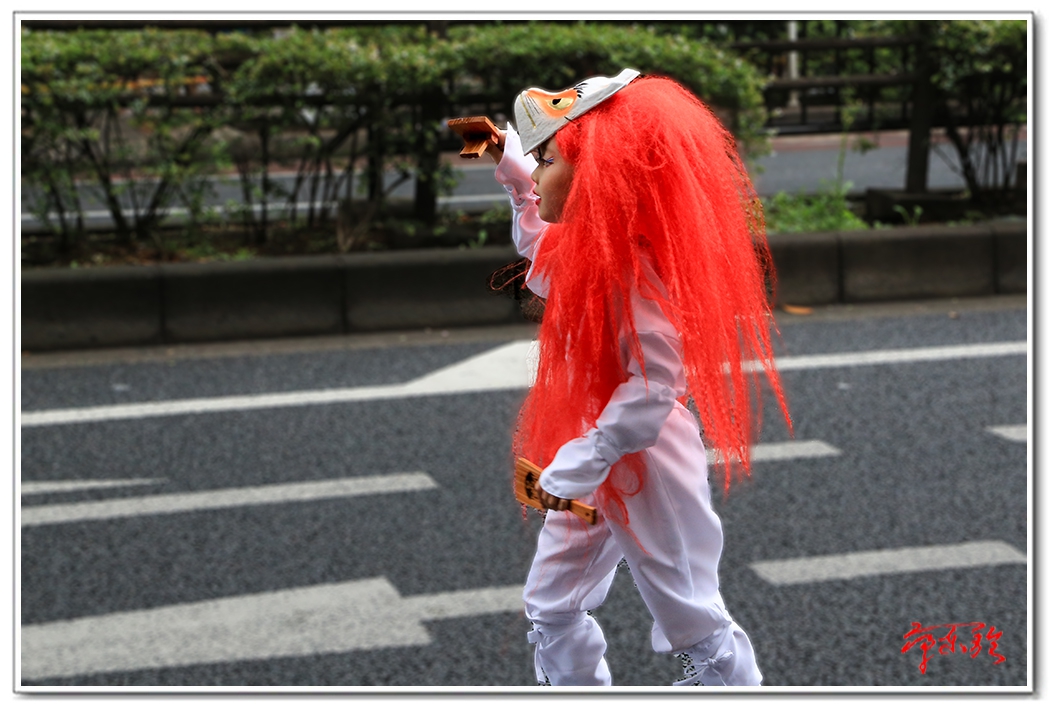 sss006234545.jpg