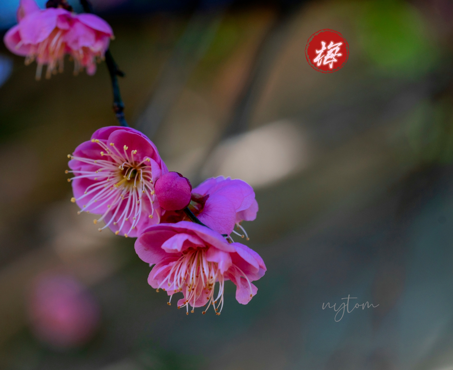 MEITU_20250324_221421701.jpg