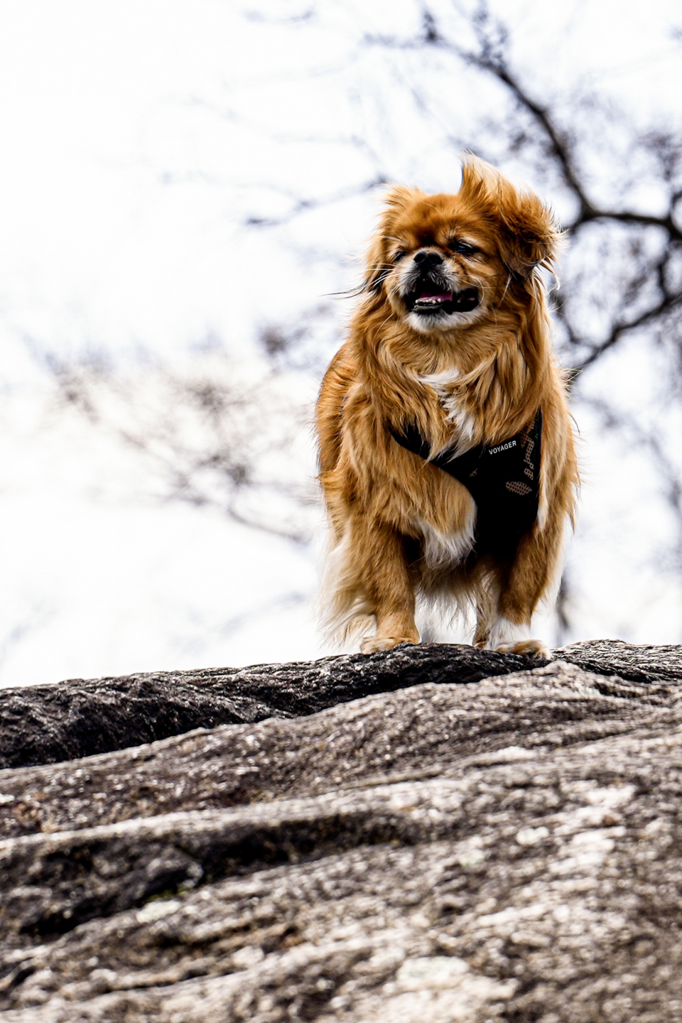 _DSC9898 .jpg