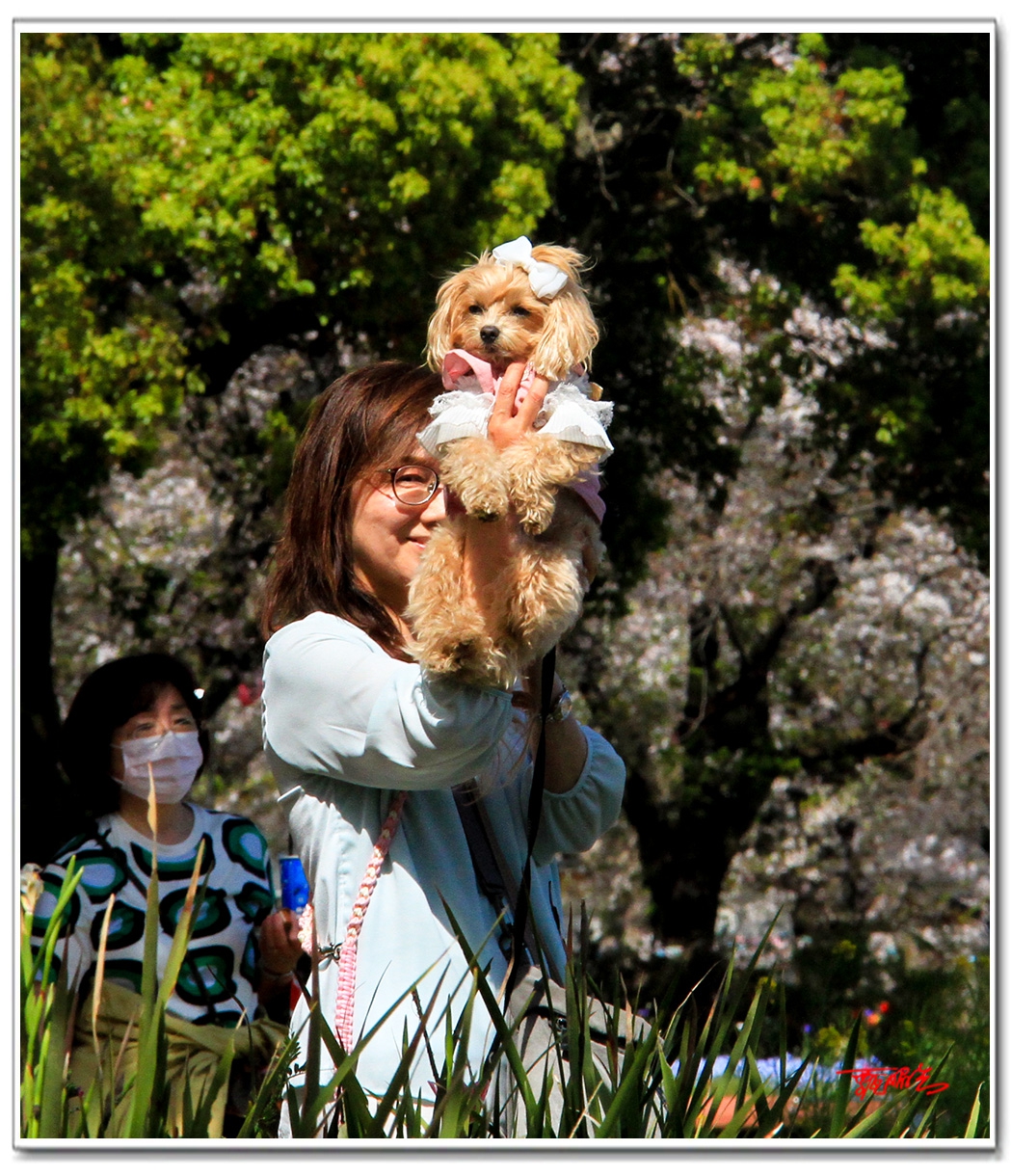 sii20140836.jpg