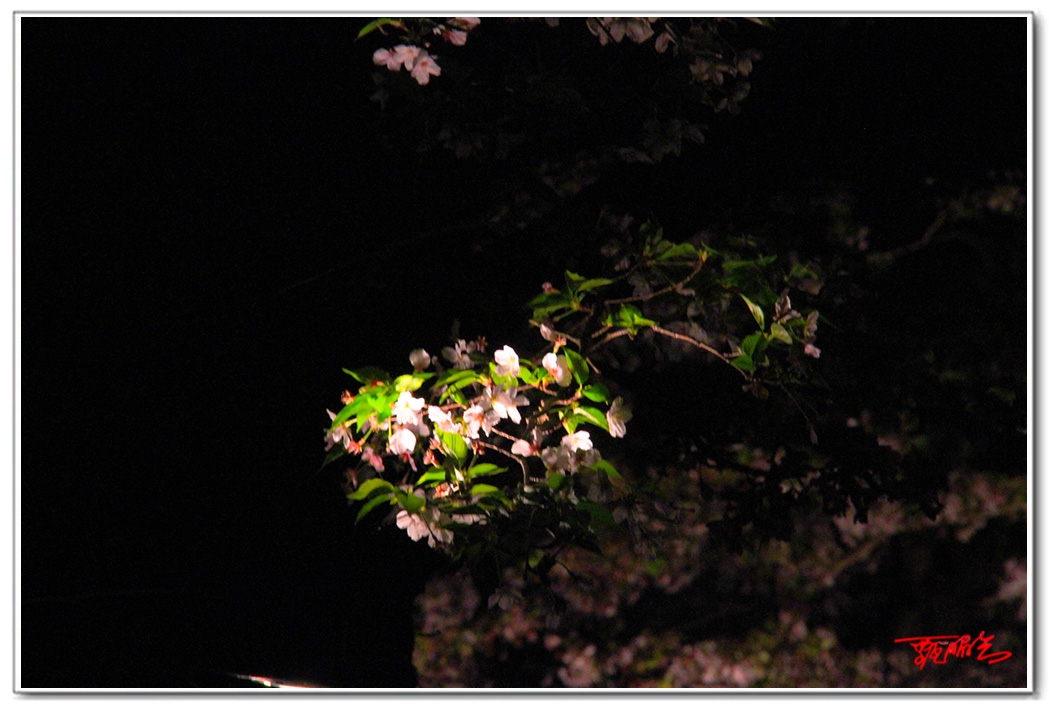sii20140810.jpg