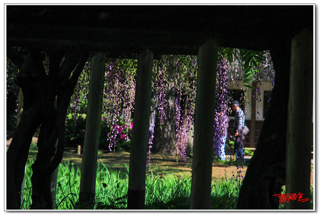 sii20140916.jpg