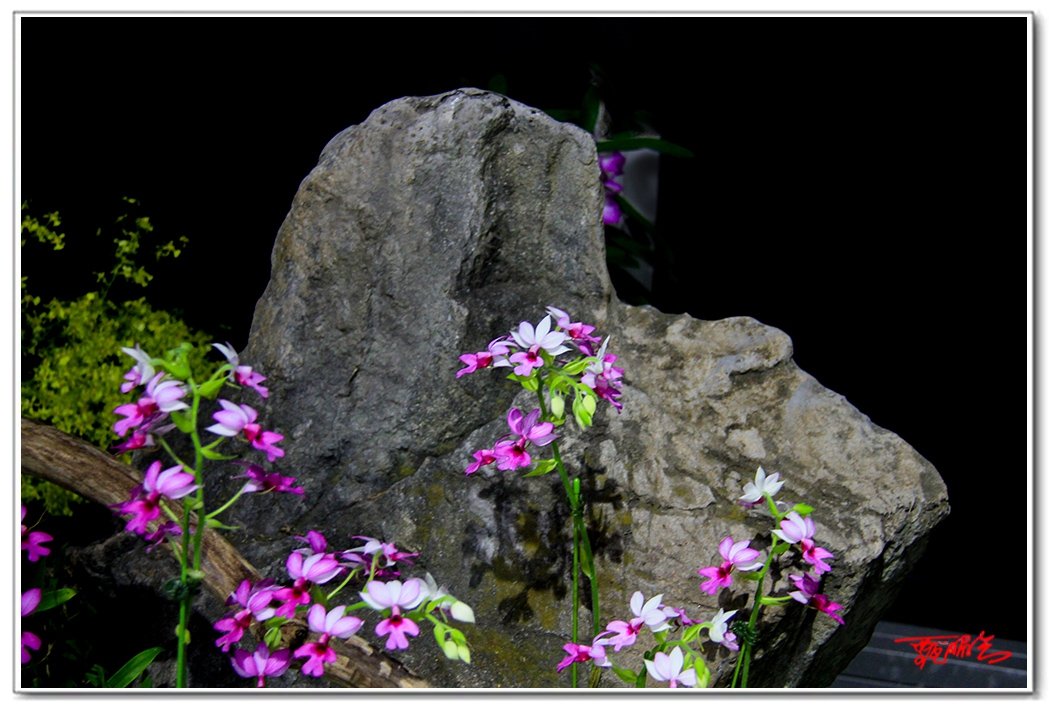 sii2014093777.jpg