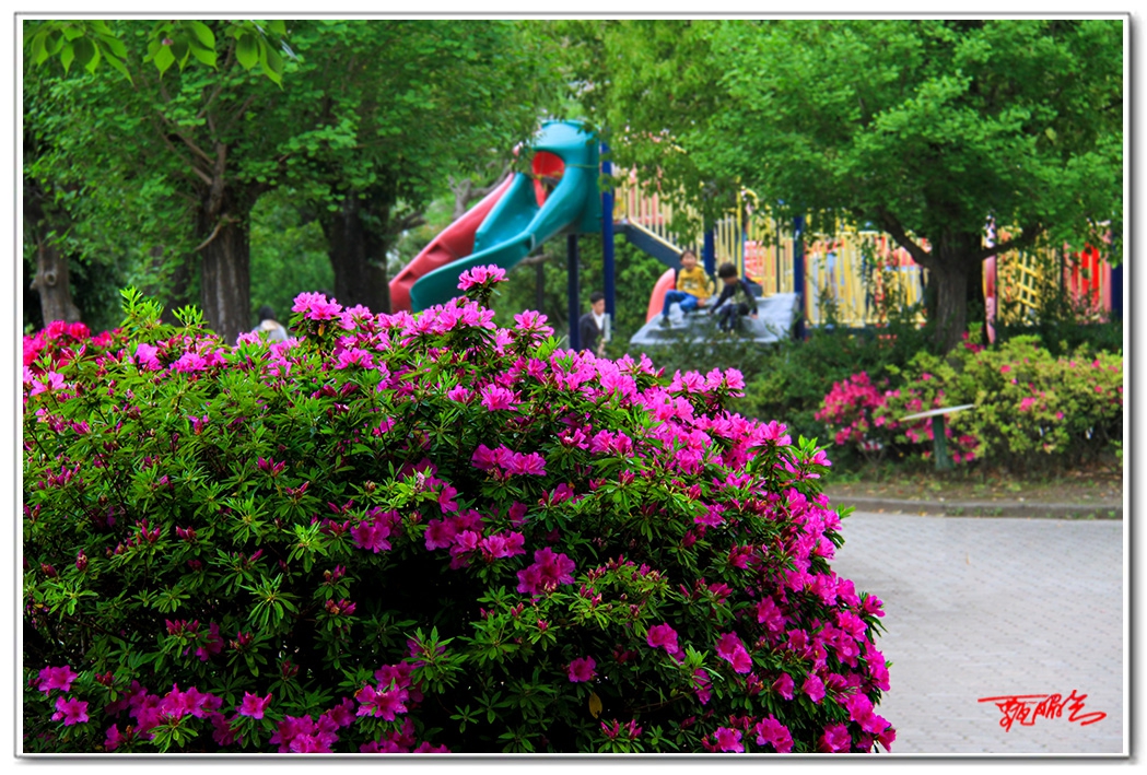 sii20140891.jpg