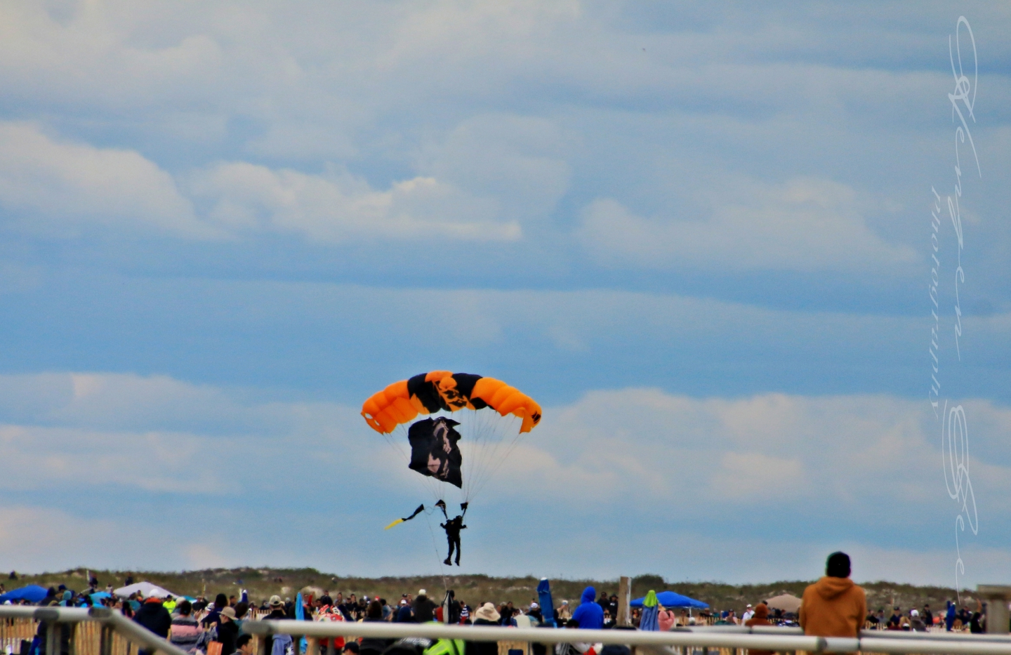 IMG_9647_.jpg