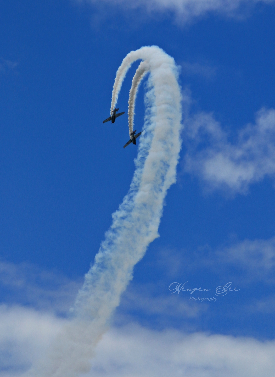 IMG_8828_.jpg