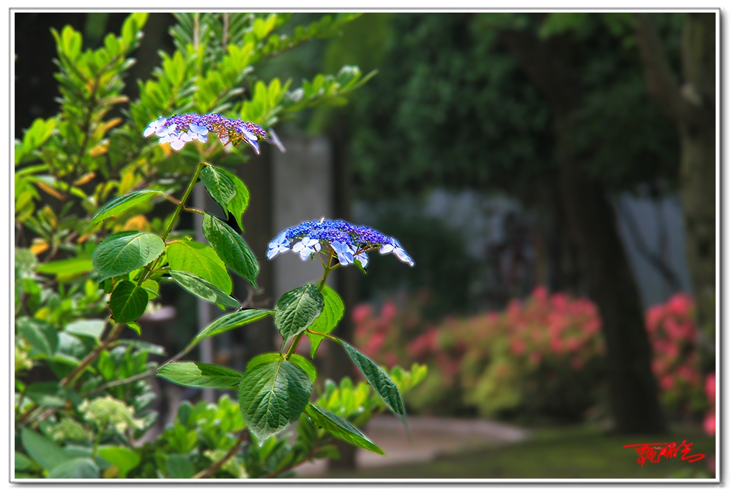 sii2014093840.jpg