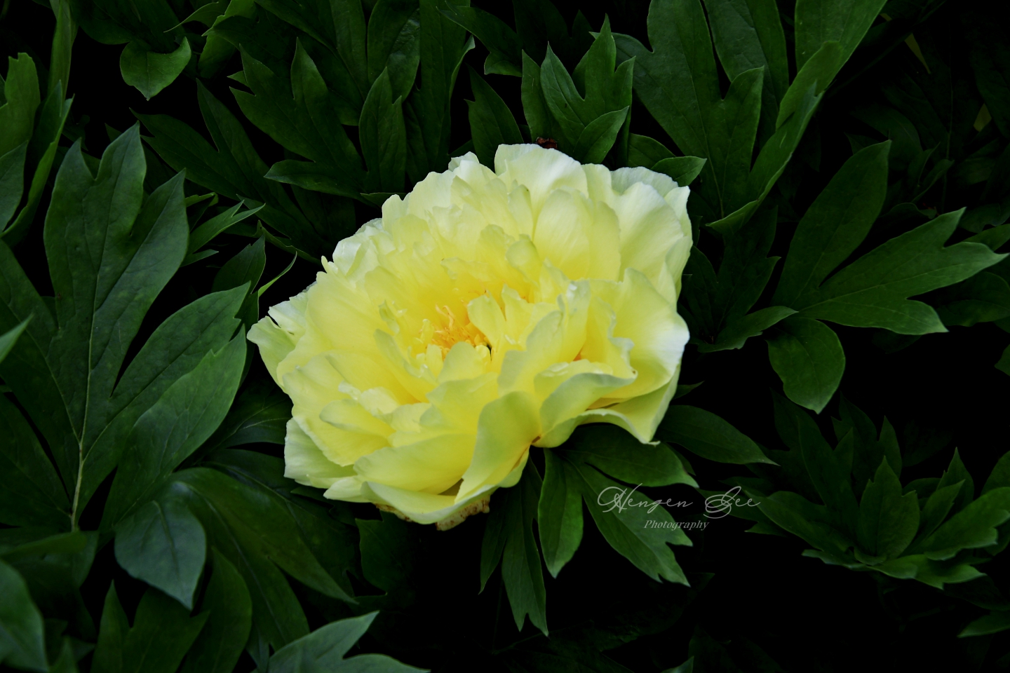 IMG_4749_.jpg