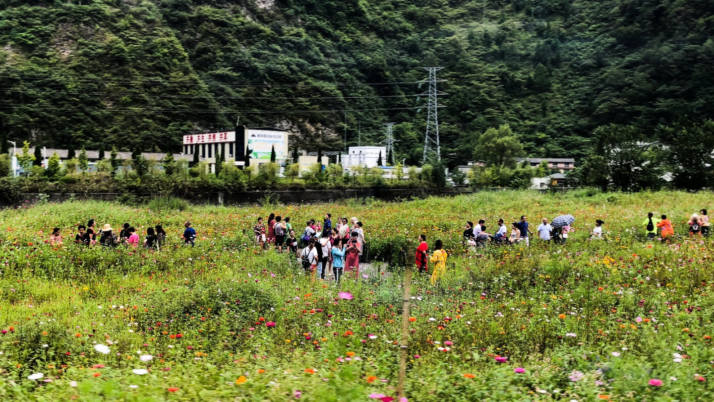 2018_09_01 1003.jpg