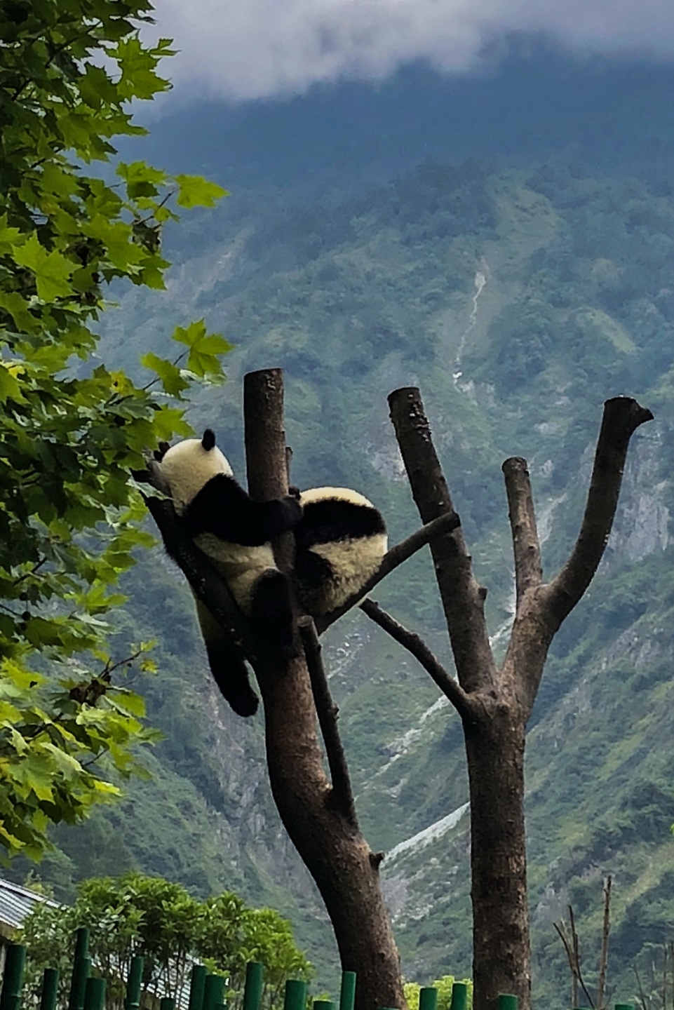 2018_09_01 1005.jpg