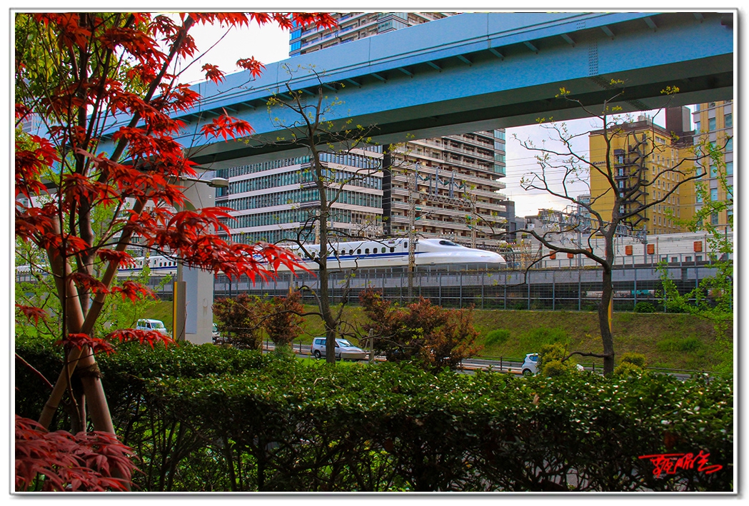 sii20140938946.jpg