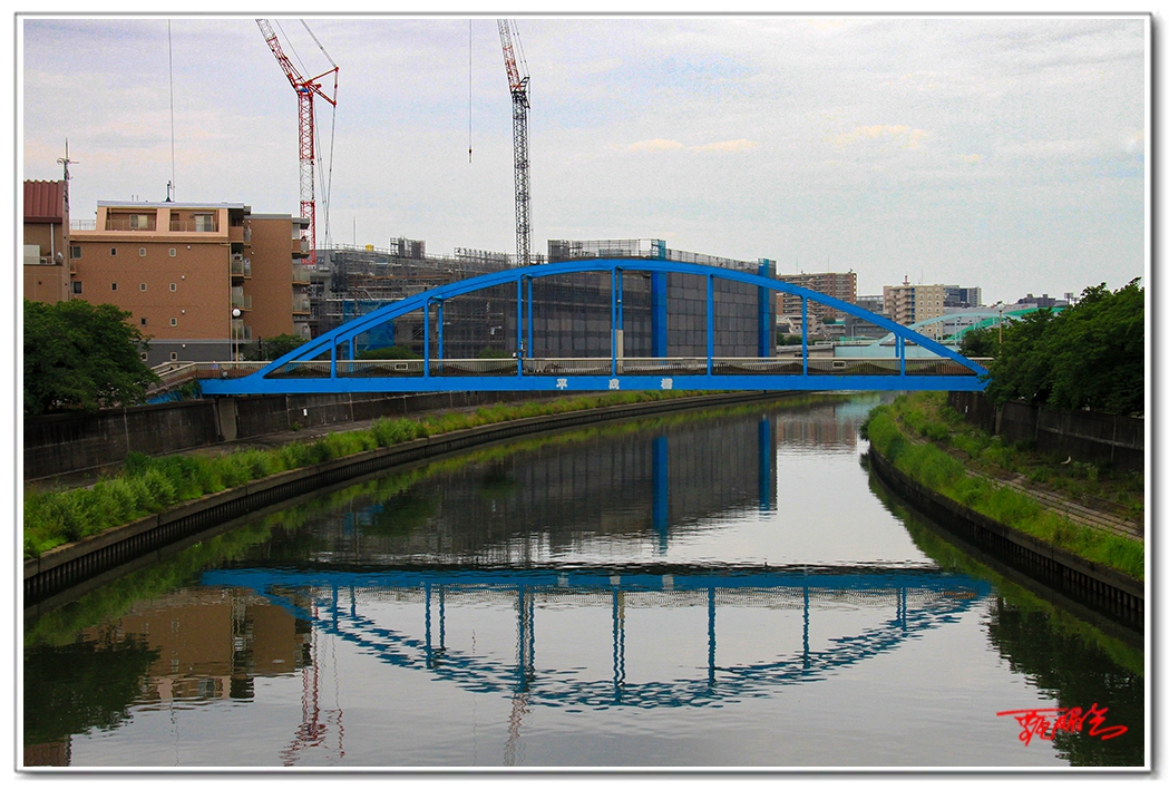 sii20140938968.jpg