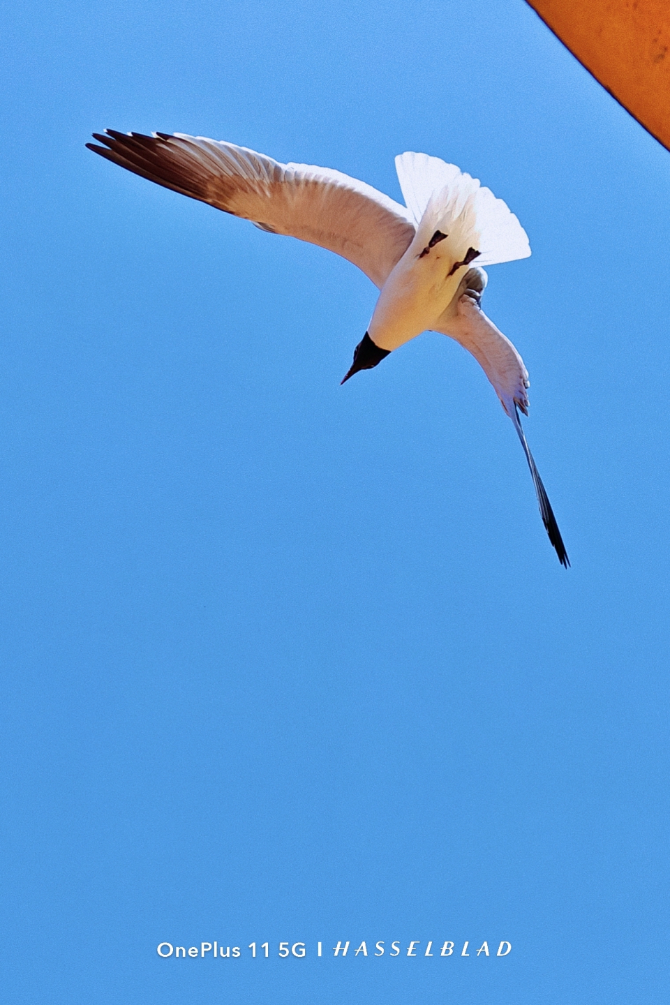 IMG_20250705_193432.jpg