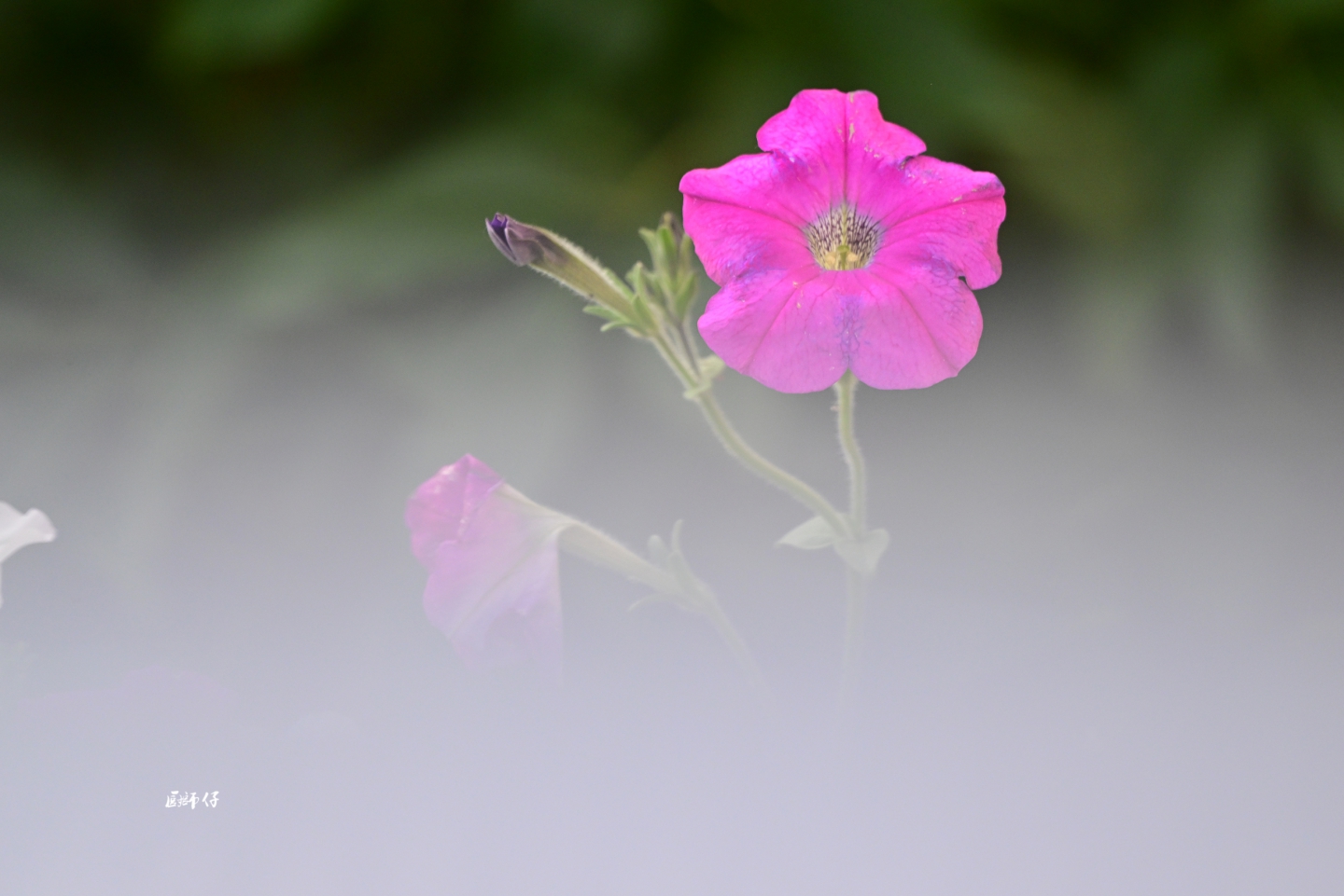DSC_0488.jpg