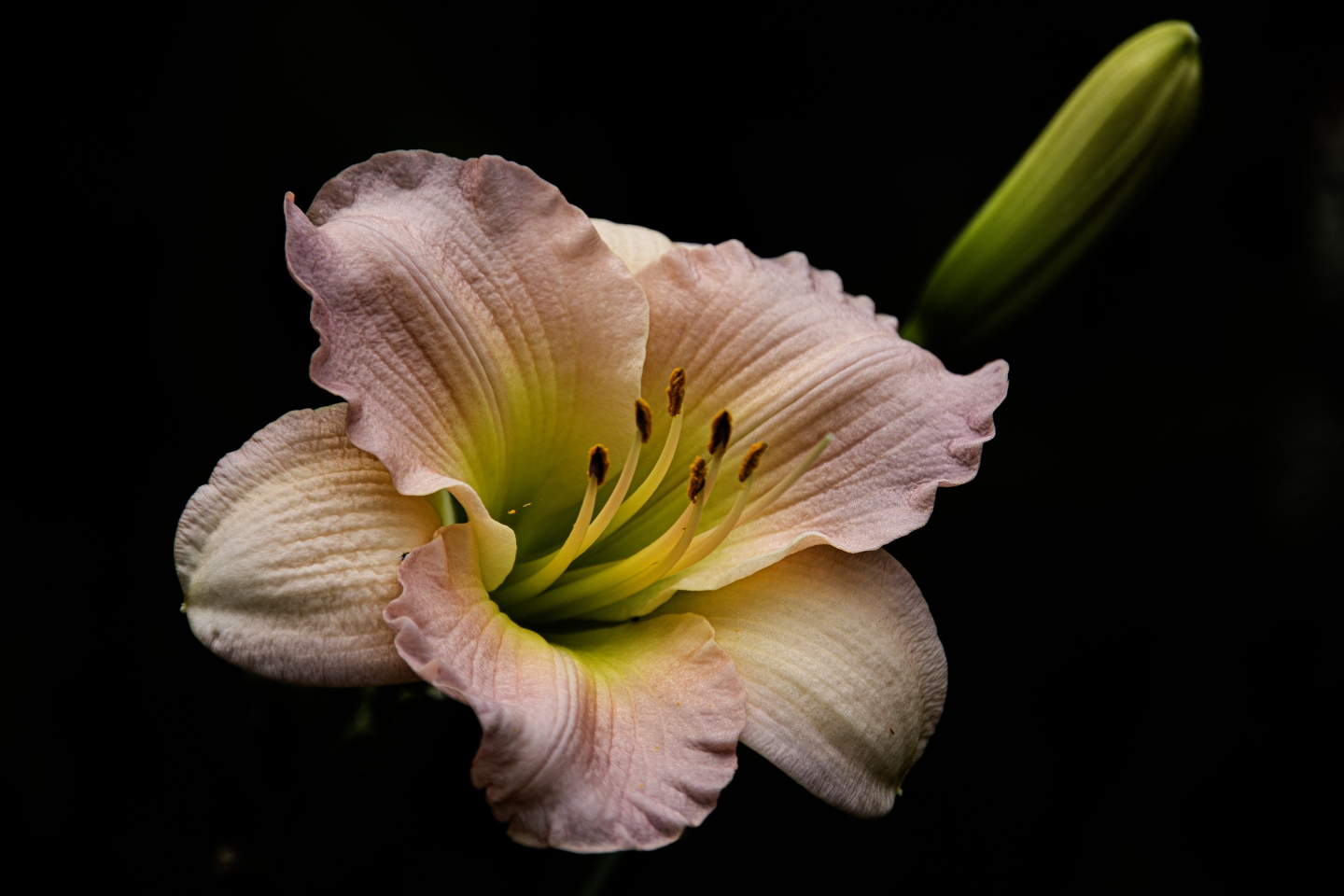 DSC_8920.jpg