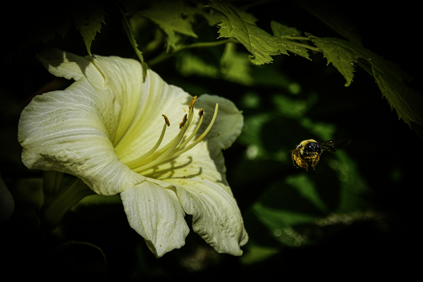 DSC_8767.jpg
