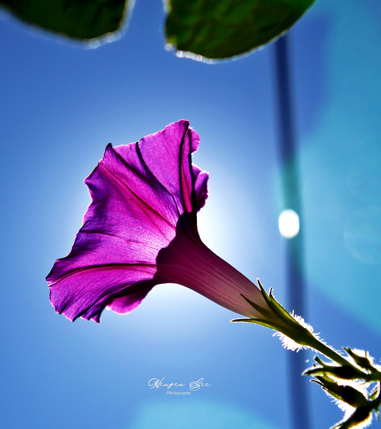 IMG_9804_.jpg