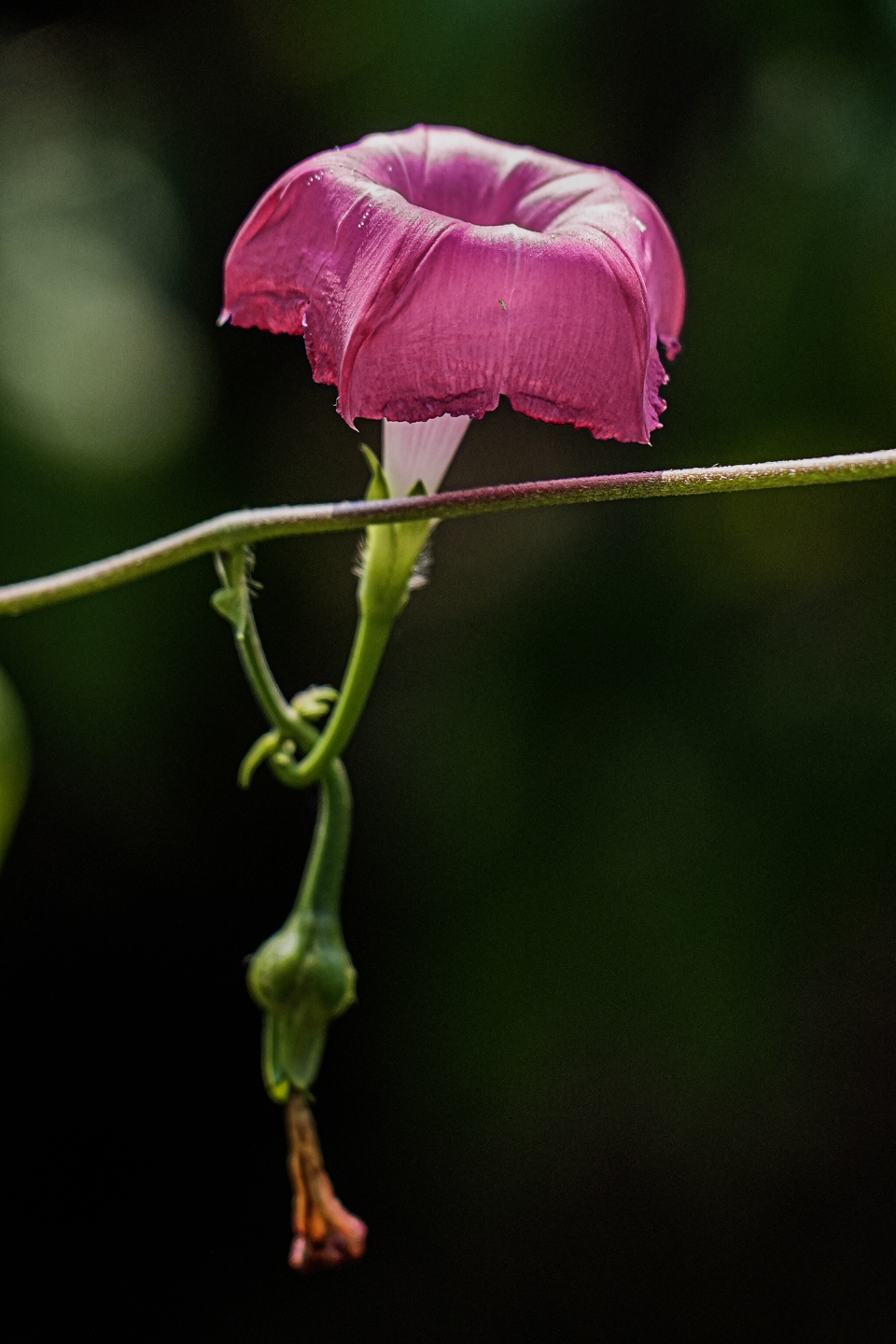 _DSC7306.jpg