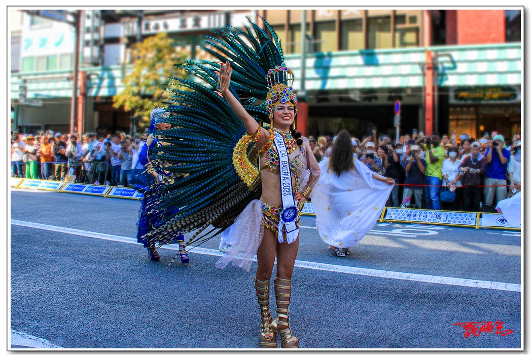 sii20105.jpg