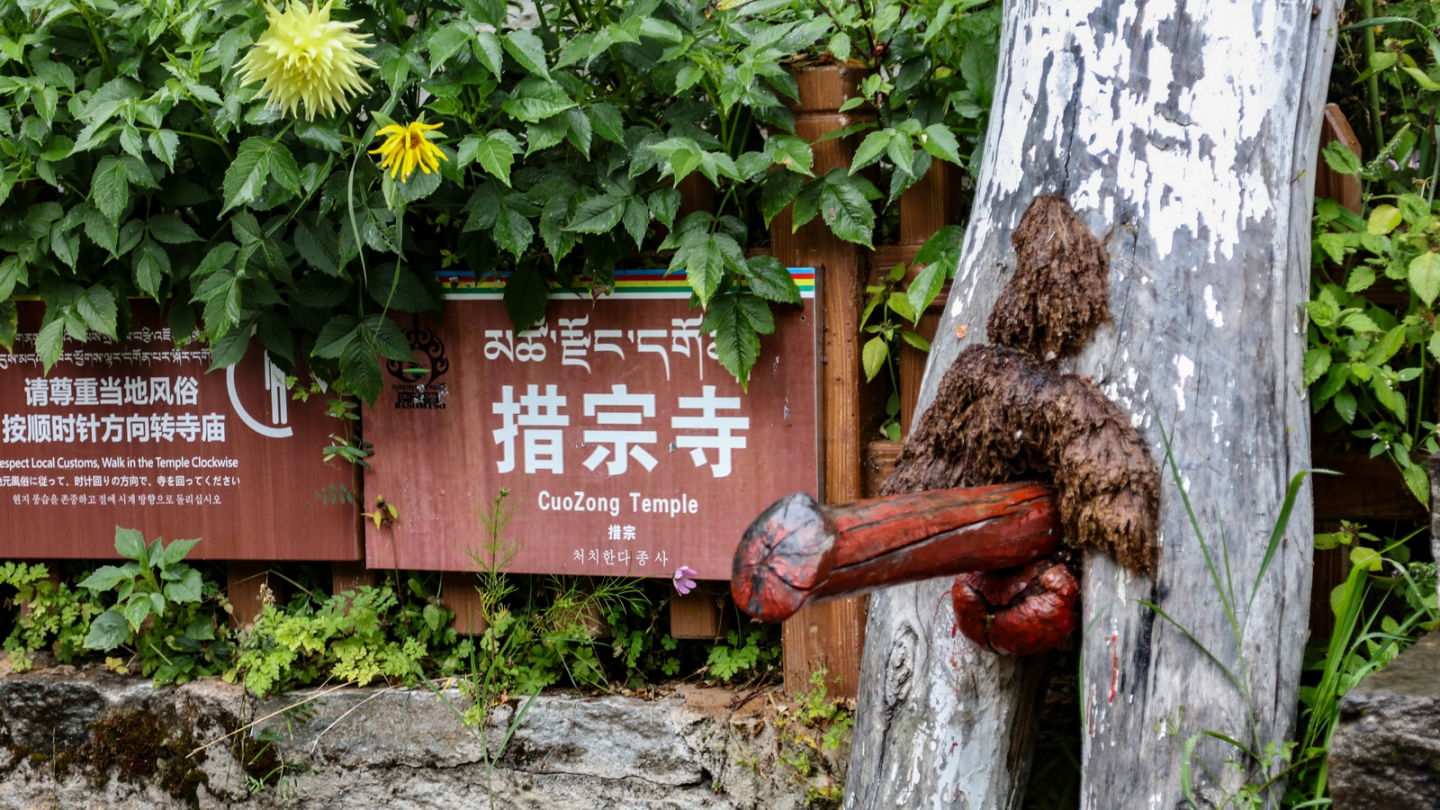 2018_09_10 3011.JPG