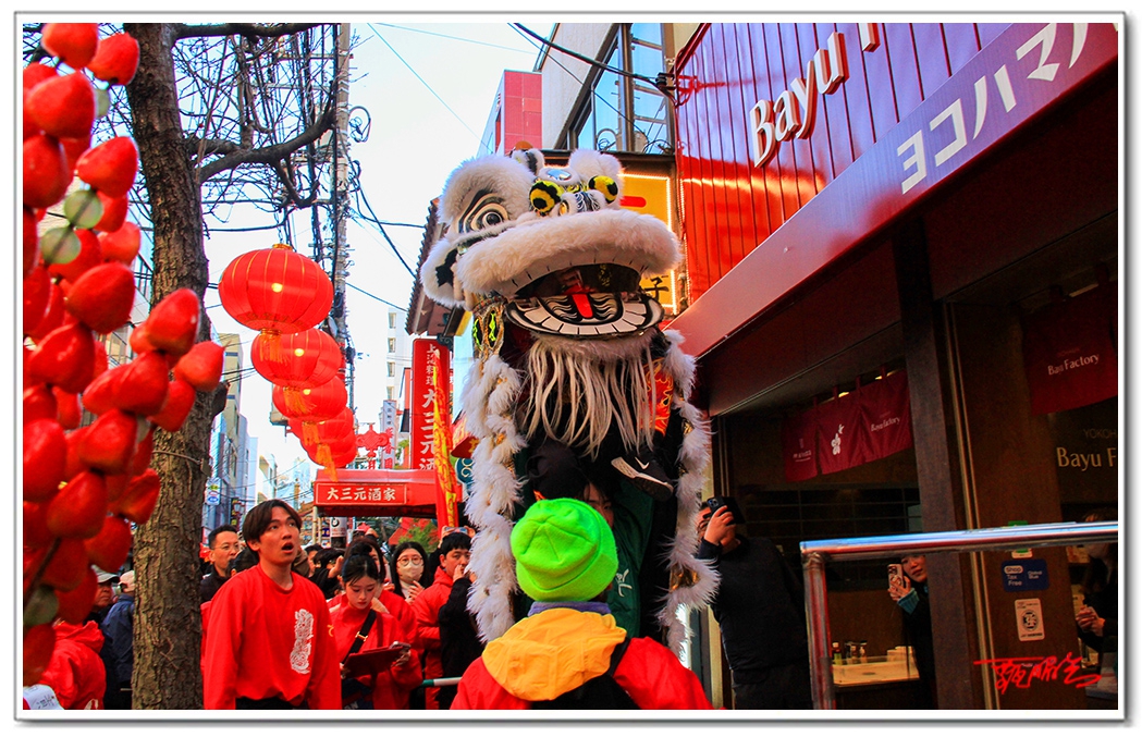 sii201356jpg.jpg