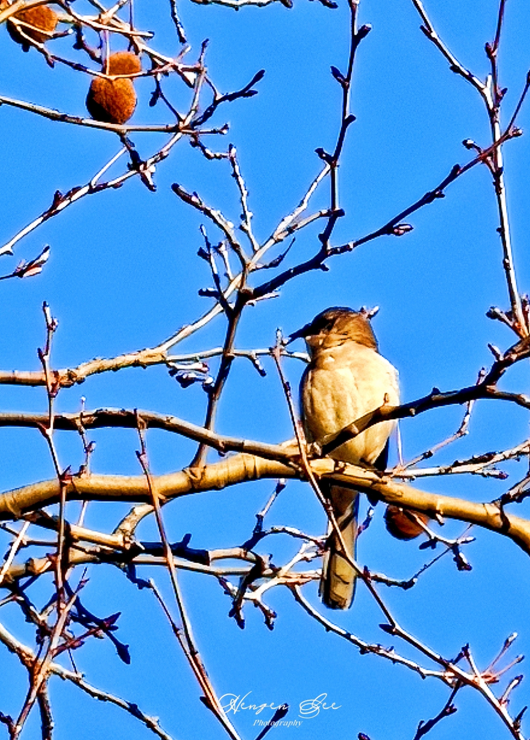 IMG20260313080649 (1)_����.jpg