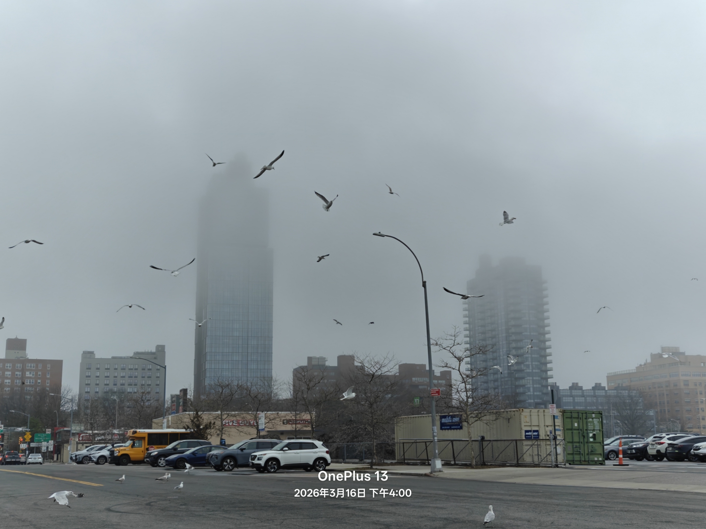 IMG20260316155817.jpg