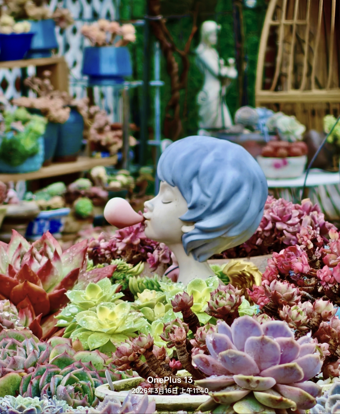 IMG_20260316_174111 (1).jpg