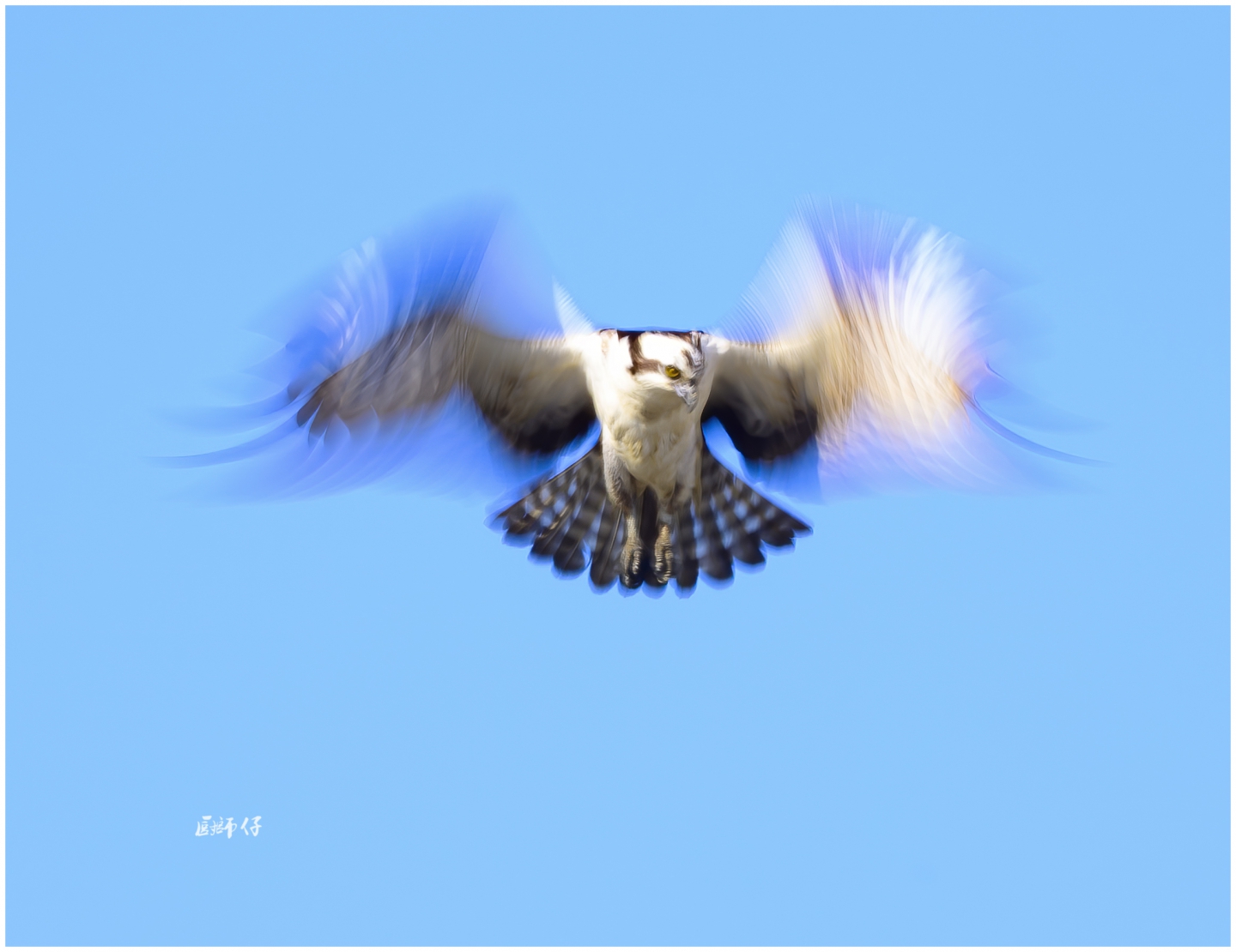 DSC_7889.jpg