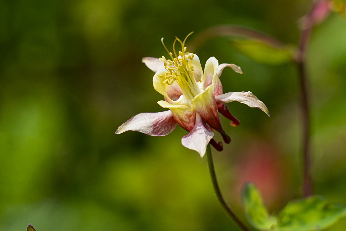 _DSC8542.jpg