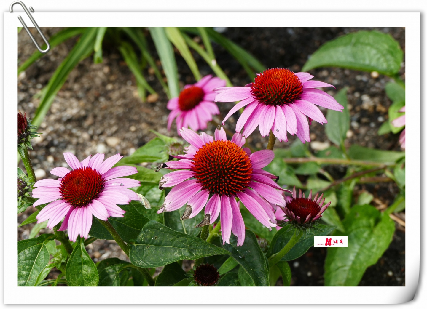 L1320845_����.jpg