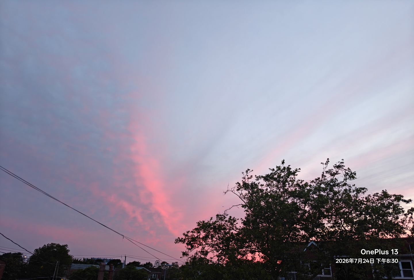 IMG_20260724_203128.jpg