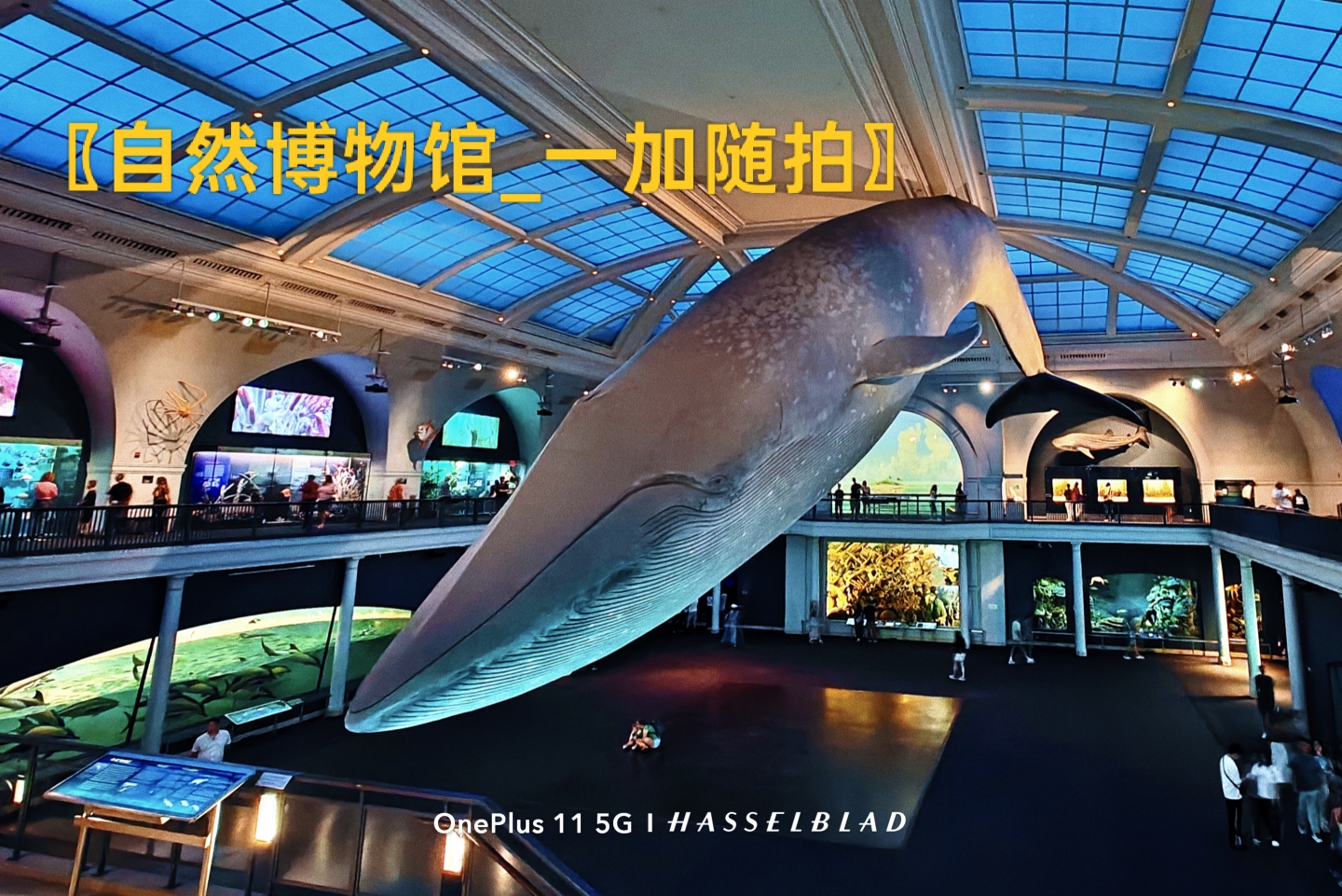 IMG_20260728_215902.jpg