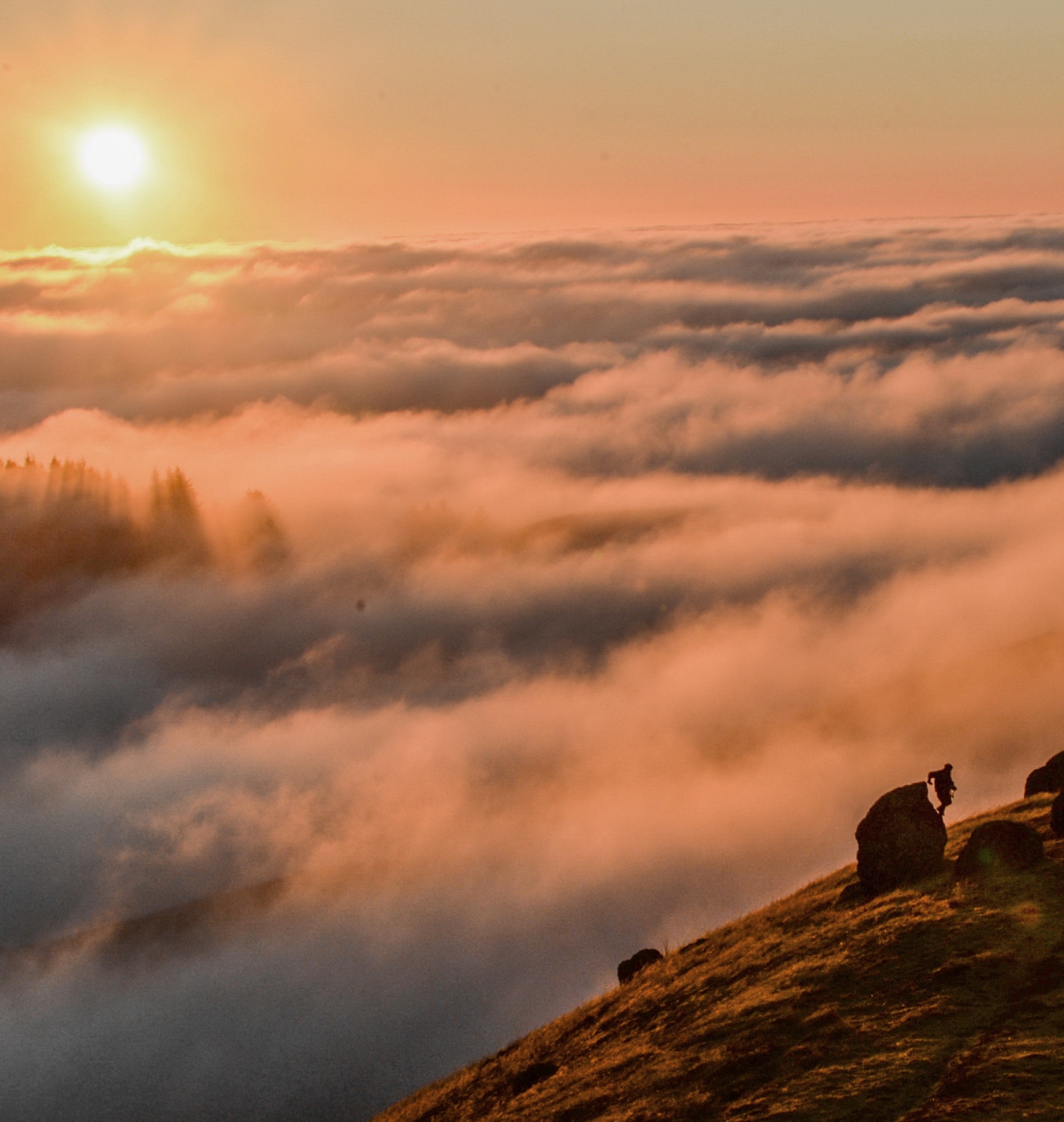 2026_08_11 _1014.JPG