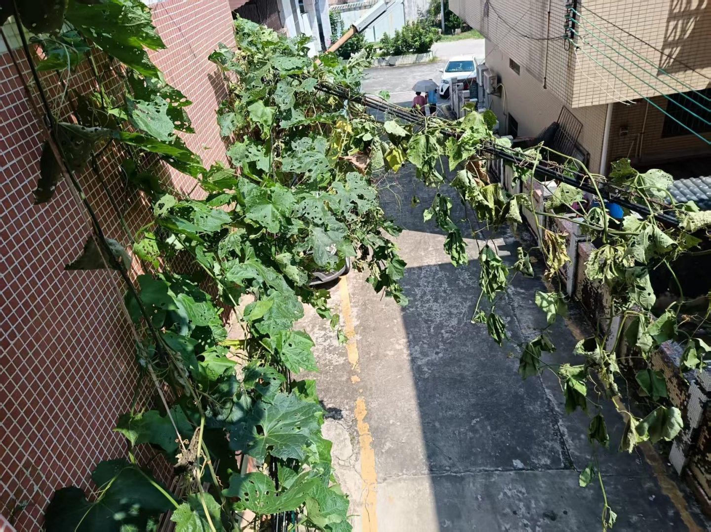 ΢��ͼƬ_20260918134419_49_5.jpg