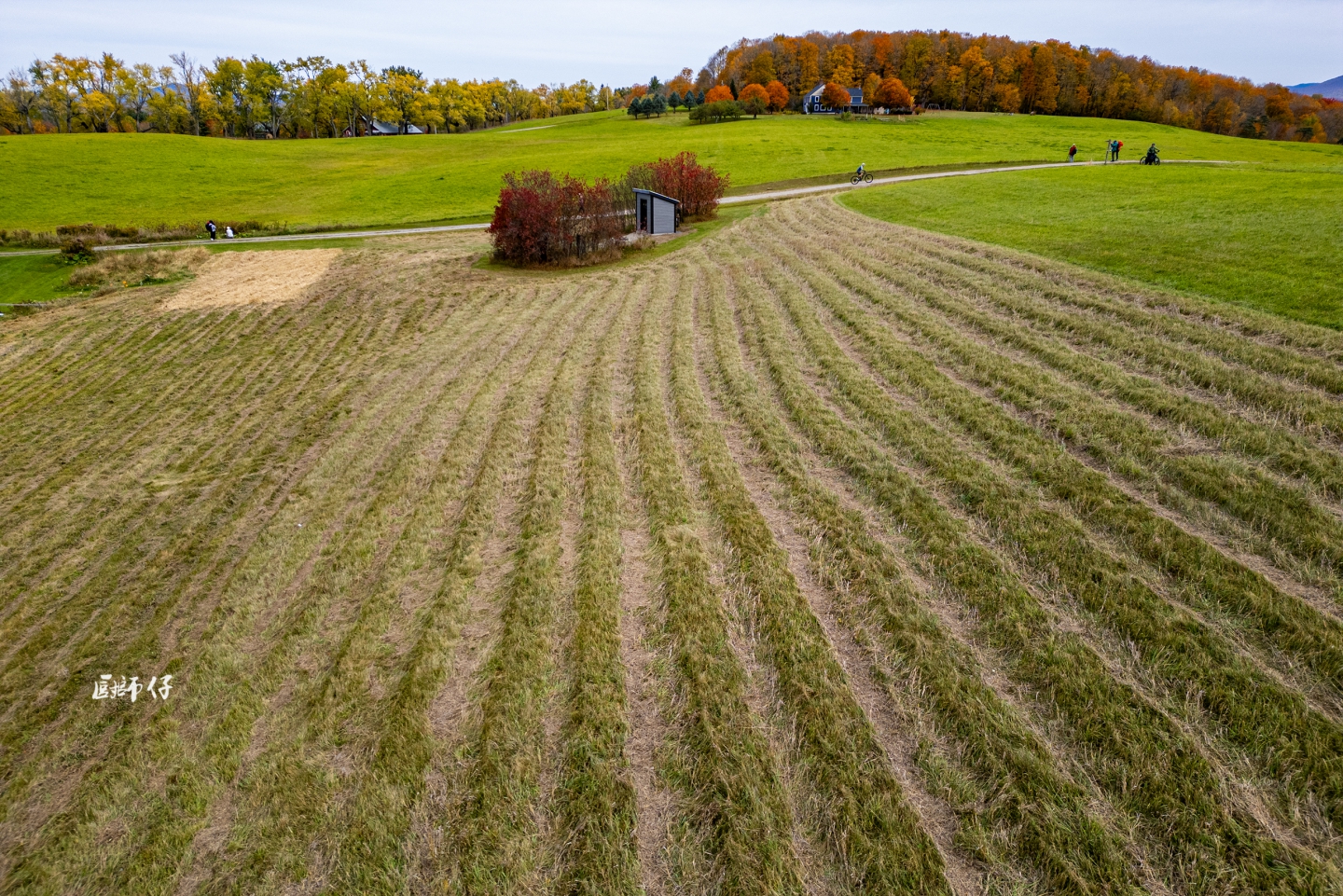 DJI_0649.jpg
