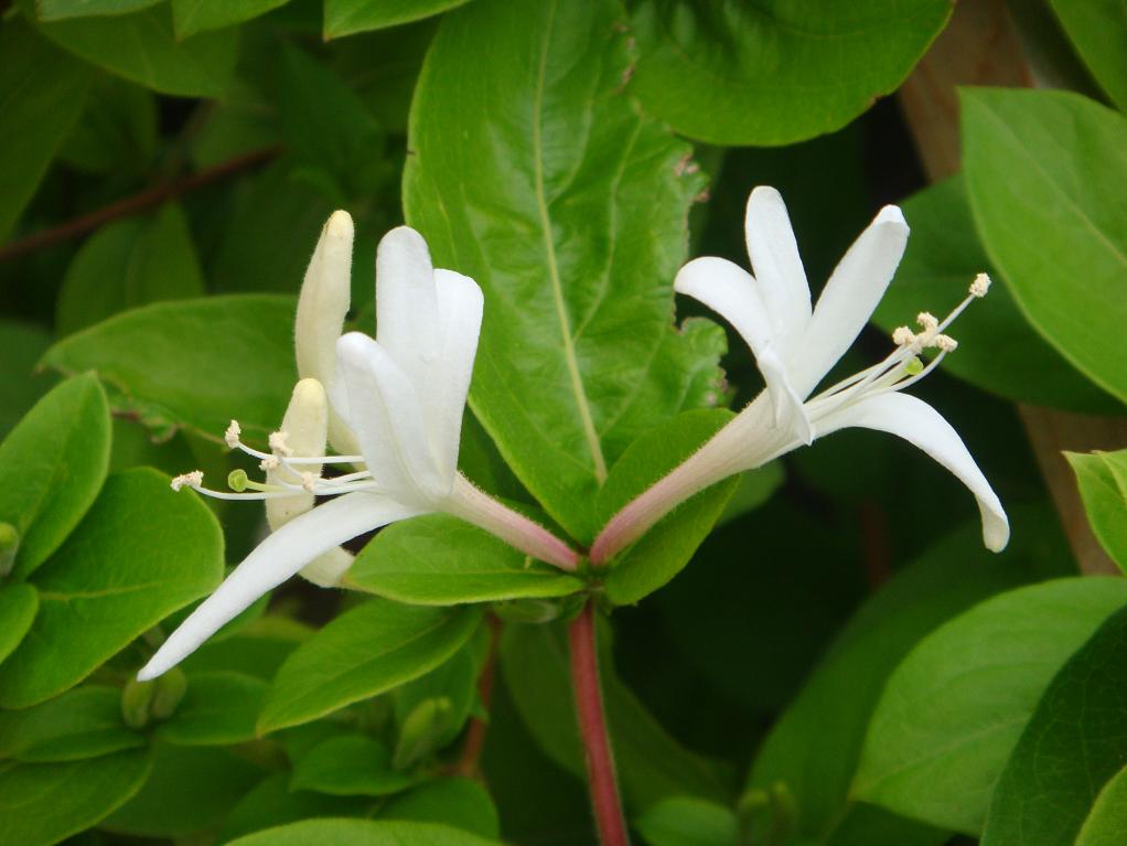 DSC05818.JPG