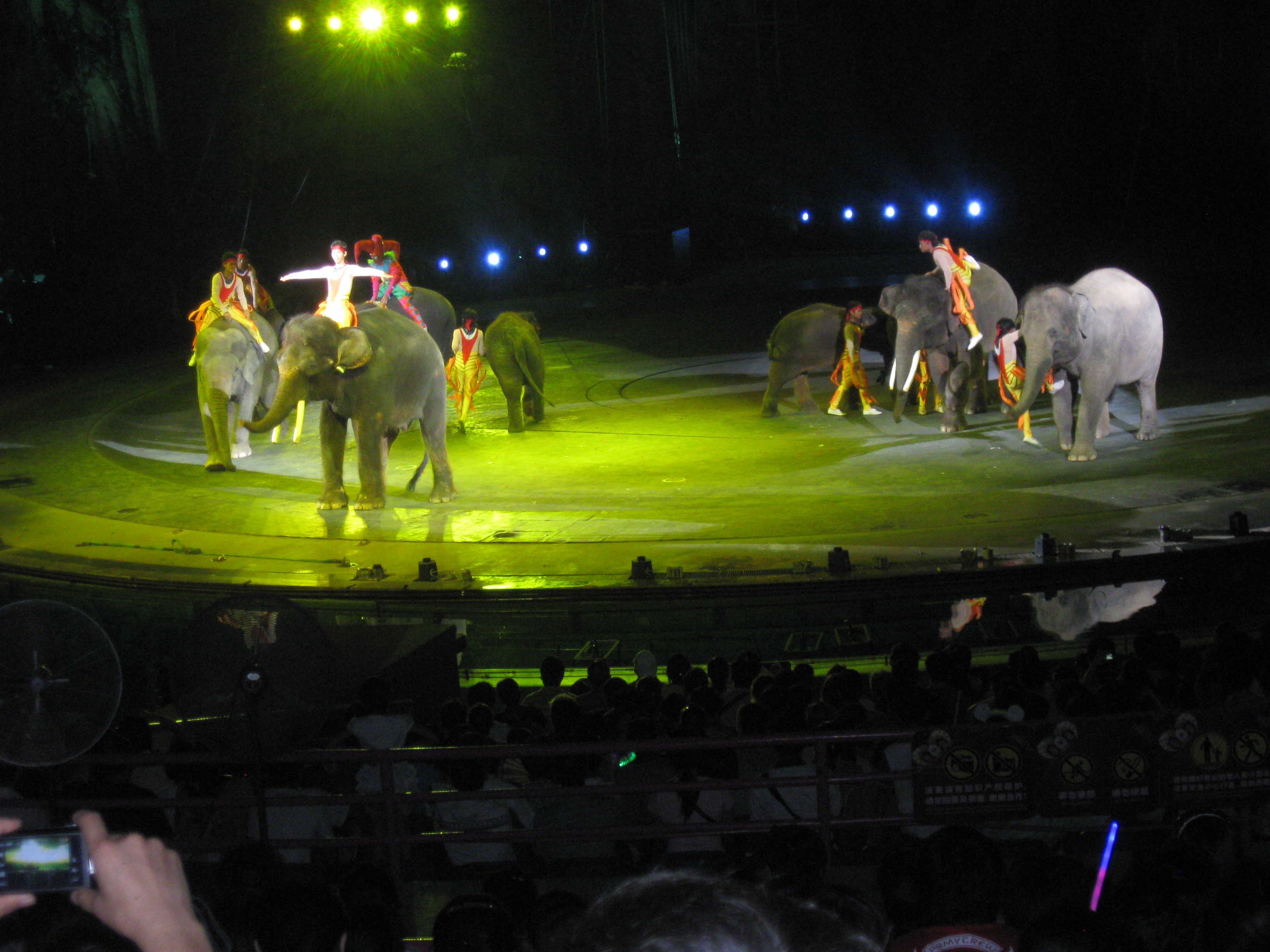 IMG_1085.jpg