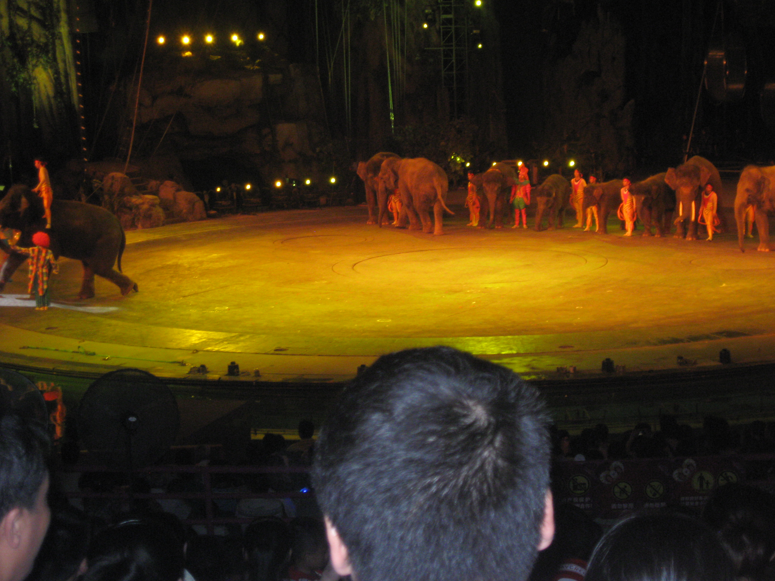IMG_1084.jpg