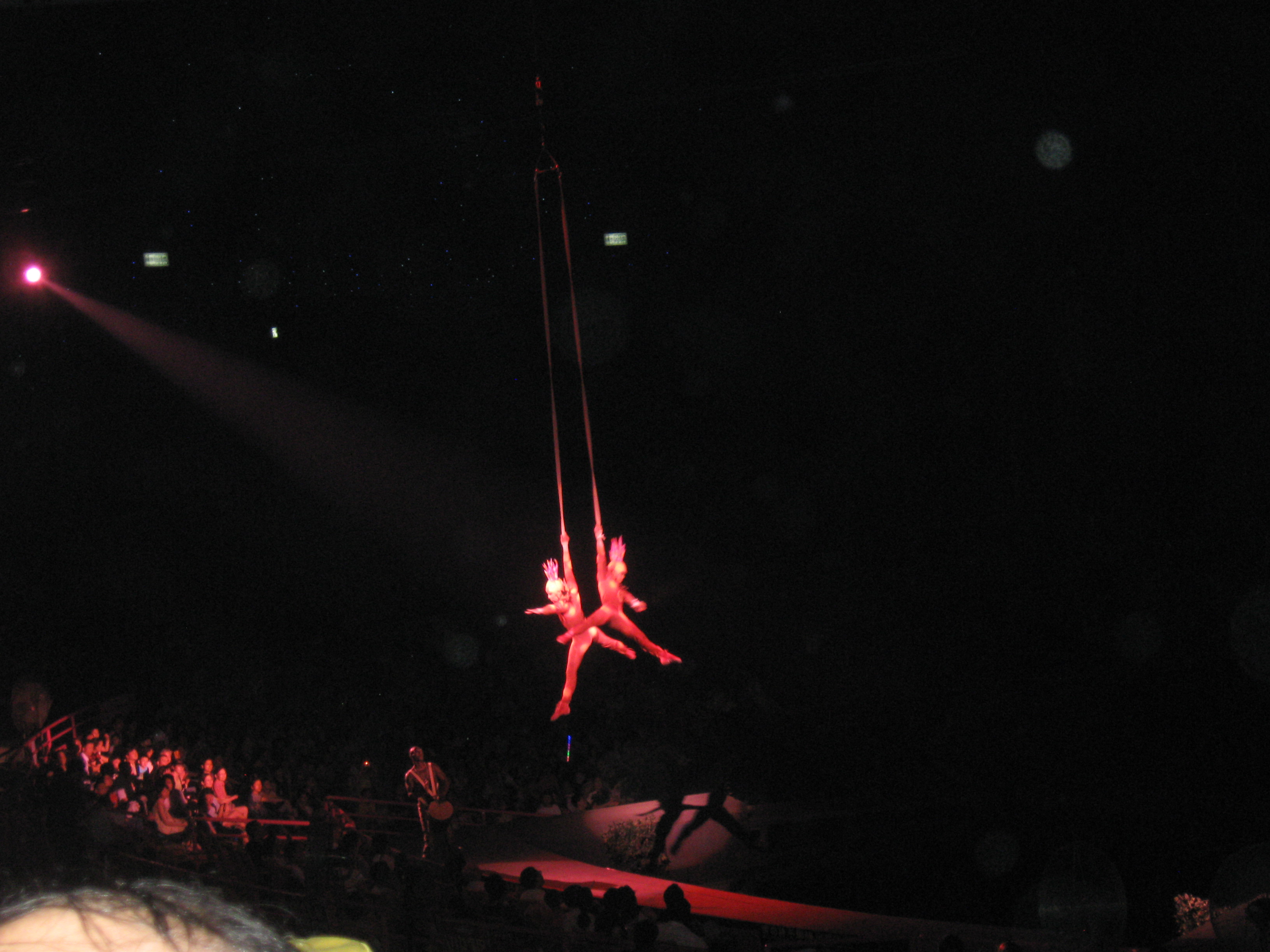 IMG_1075.jpg