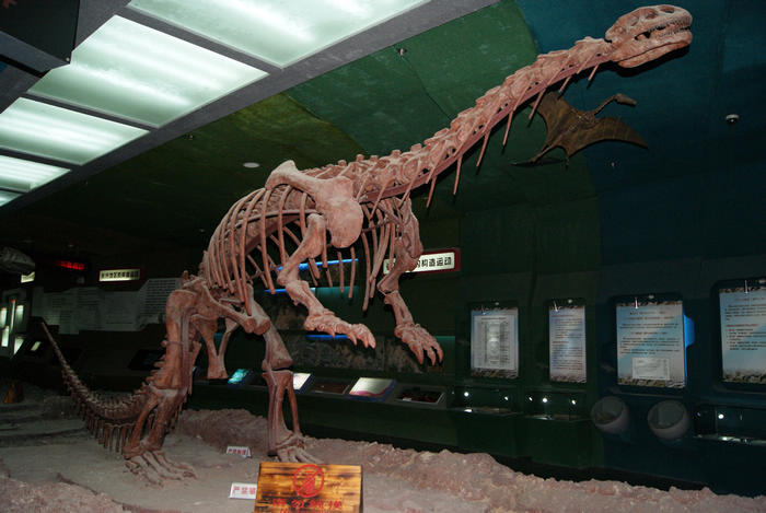 b3.jpg